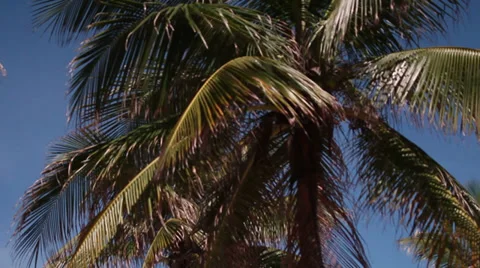 Coast. Rio de Janeiro Stockbeeldmateriaal 27879441