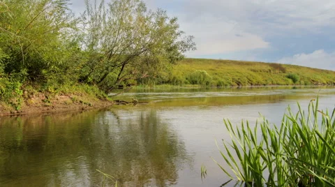 Coast of the river Stock Footage