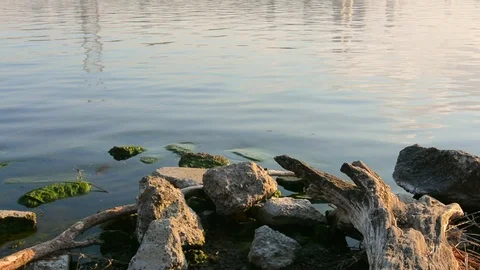 Coast river Video stock 75360605