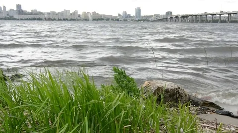 Coast river Video stock 75570845