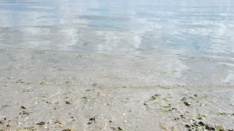 Coast of a river. Water surface waves. Sunny weather. River bank Stock Footage 151655911