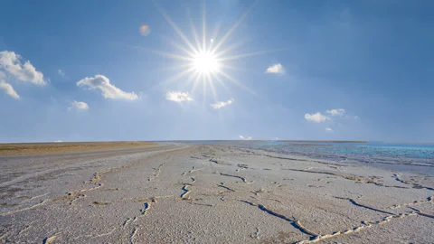Coast of a saline lake under a sparkle sun Vídeos de archivo 313281160