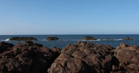 Coast in Scotland Stock Footage 101313339