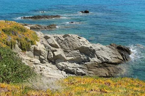 The coast of the sea Stock Photos
