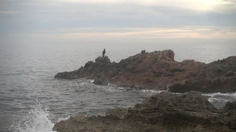 The coast in the sea of Santa Eulalia a cloudy day, Ibiza Vídeo Stock 102487156