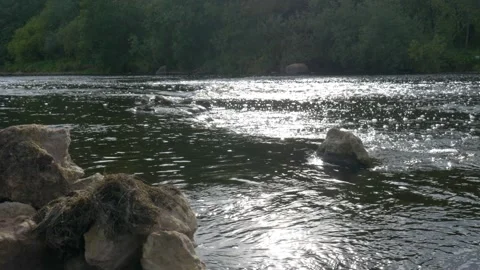The coast of a small river, large stones. Stock Footage 142492465