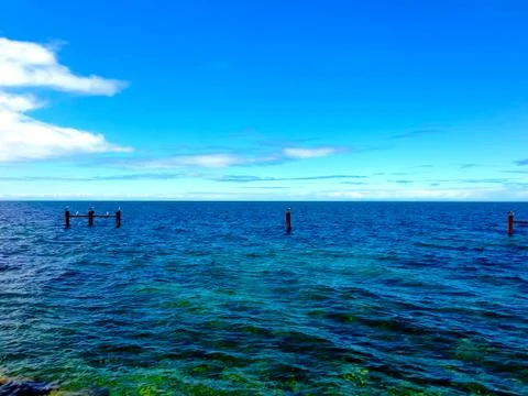 Coast with stumps Stock Photos