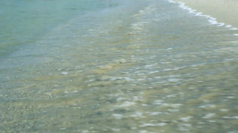 Coast in summer day Stock Footage 96220154