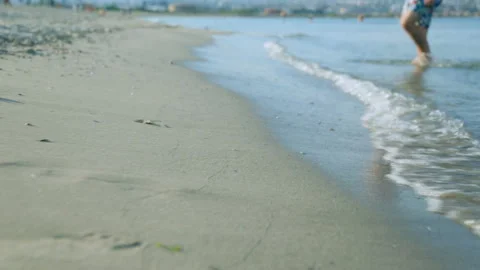 Coast in summer day Stock Footage 96220220
