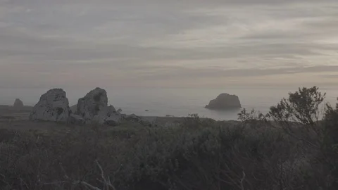 Coast at Sunset - Log Stockbeeldmateriaal 85449070