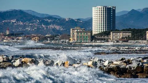 The coast swept by the waves Stockfoto's