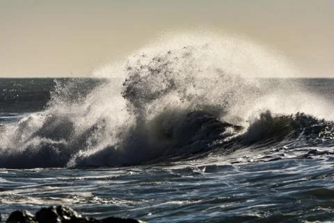 The coast swept by the waves Stockfoto's