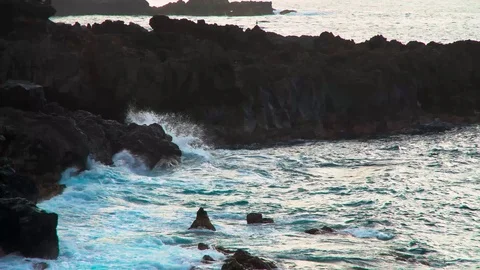 Coast of Tenerife Stock Footage 97761180