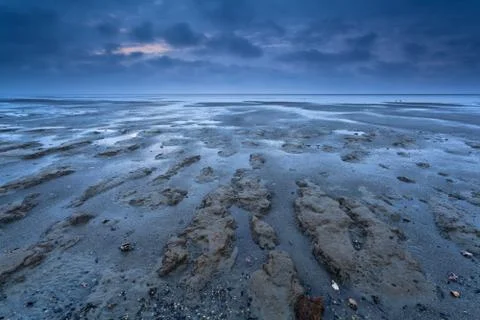 Coast texture at low tide Stock Photos