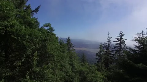 Coast Valley Fly Through Stock Footage 66248646