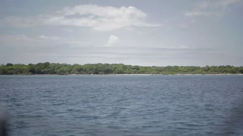 The coast viewed from a moving boat Stock Footage 51019640