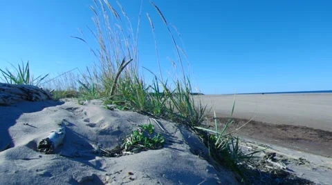 Coast White Sea Stock Footage 55552093