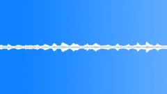 Coastal ambience 04 loopSound Effect