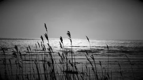 Coastal backdrop Stock Footage 40950947