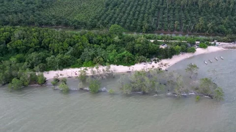 Coastal with a beach and trees in the background Video stock 325831607