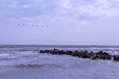 Coastal beach background in early spring Stock Photos