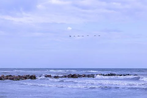 Coastal beach background in early spring Stock Photos