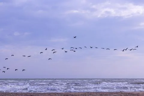 Coastal beach background in early spring Stock Photos