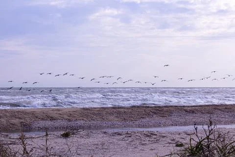 Coastal beach background in early spring Stock Photos