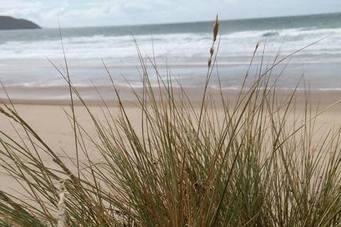 Coastal Beach. Stock Photos
