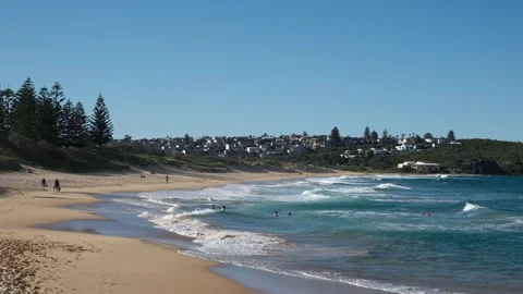 Coastal beach with rolling waves, pine trees and hillside suburb under blue sky Stock Footage 317795425