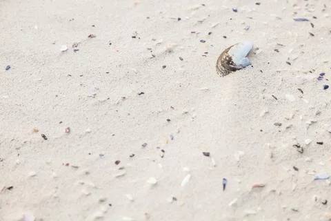 Coastal beach sand texture pattern for design background Stock Photos