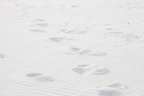 Coastal beach sand texture pattern for design background Stock Photos