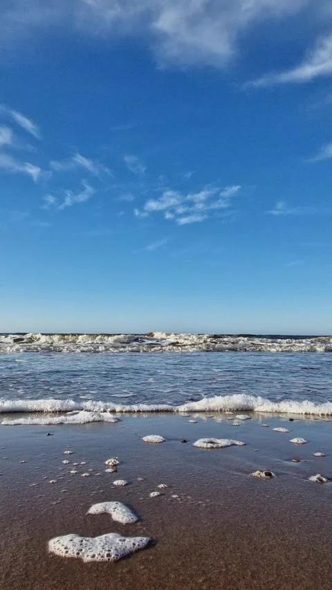 Coastal Beach View with Foamy Waves and Clear Sky Stock Footage 299719390
