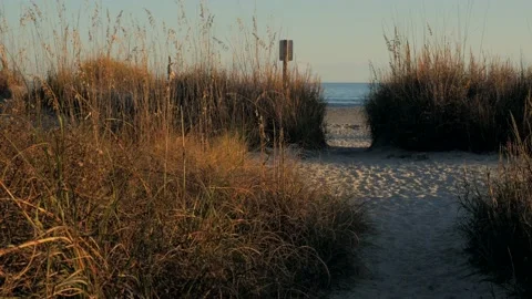 Coastal beachfront Stock Footage 167372593