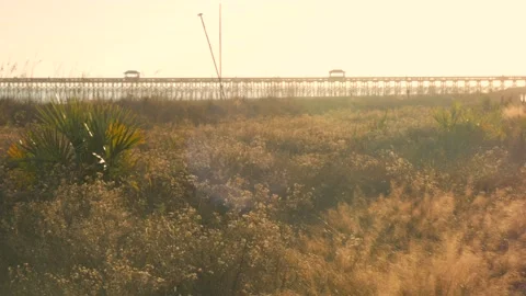 Coastal beachfront Stock Footage 167372605