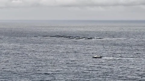 A Coastal Boat Skillfully Navigating Through Floating Objects in the Open Water 库存影片 317587718