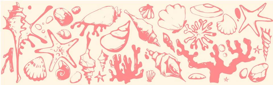Coastal boho shell illustration Stock Illustration