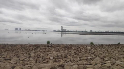 The coastal breeze Stock Footage 302946291