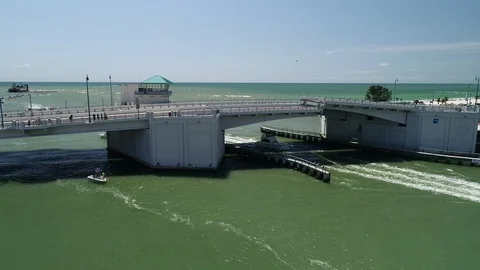 Coastal bridge pelican Stock Footage