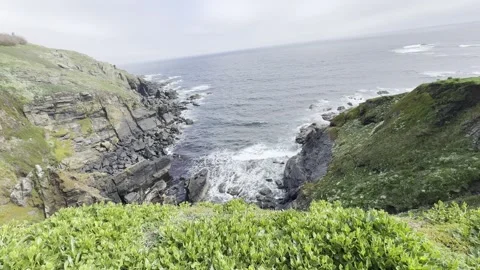 Coastal Cliff Stock Footage 308039183