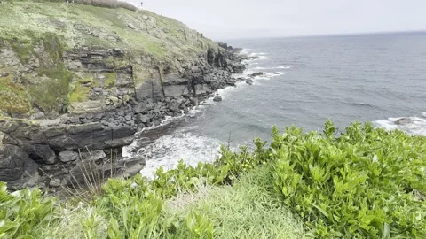 Coastal Cliff Stock Footage 308039196