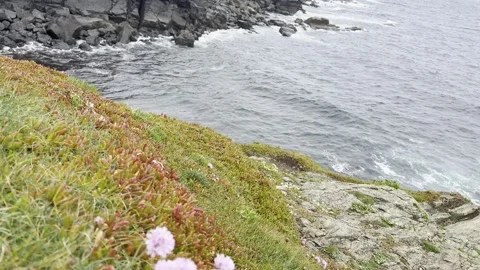 Coastal Cliff Stock Footage 308039207