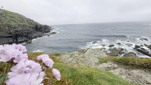 Coastal Cliff Stock Footage 308039211