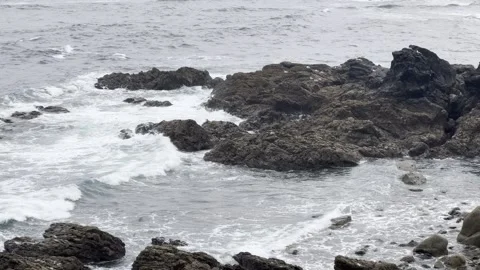 Coastal Cliff Stock Footage 308039232