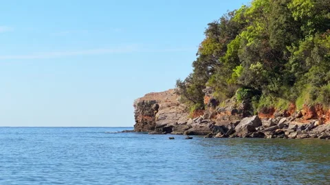 Coastal cliff with green trees overlooking calm sea water Stock-Footage 341063351