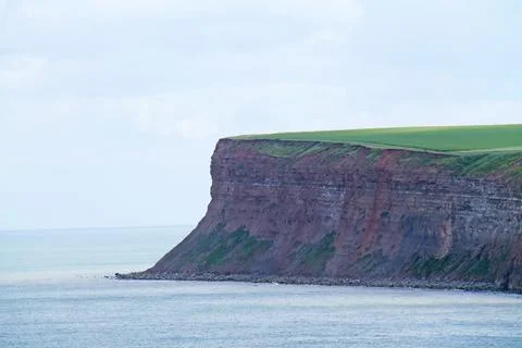 Coastal Cliff. Stock Photos