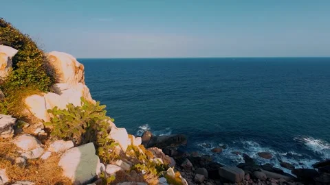 Coastal Cliff View with Cacti Overlooking Ocean and Rocky Shore Video stock 340464074