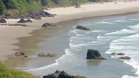 Coastal cliffs and forested area of Oswald West State Park captured from a drone Stock Footage 309325001