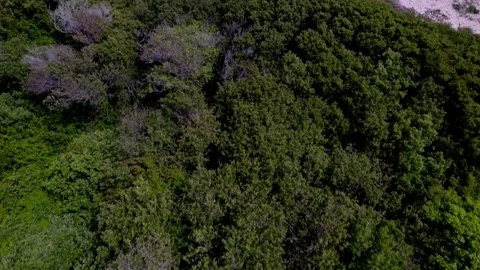 Coastal Cliffs and Mountains Drone Video Stock Footage 155221619