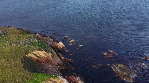 Coastal cliffs and tranquil waters captured from above in a scenic view Video stock 325720208